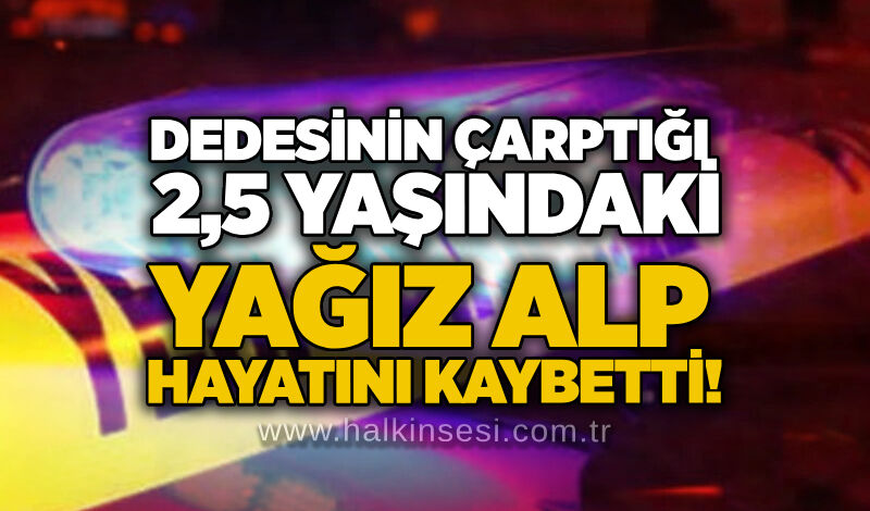 Dedesinin çarptığı 2,5 yaşındaki Yağız Alp hayatını kaybetti!
