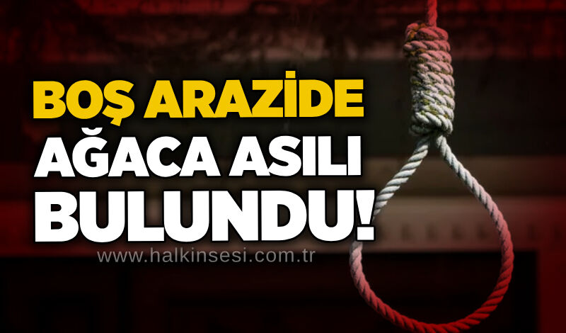 Boş arazide ağaca asılı bulundu!