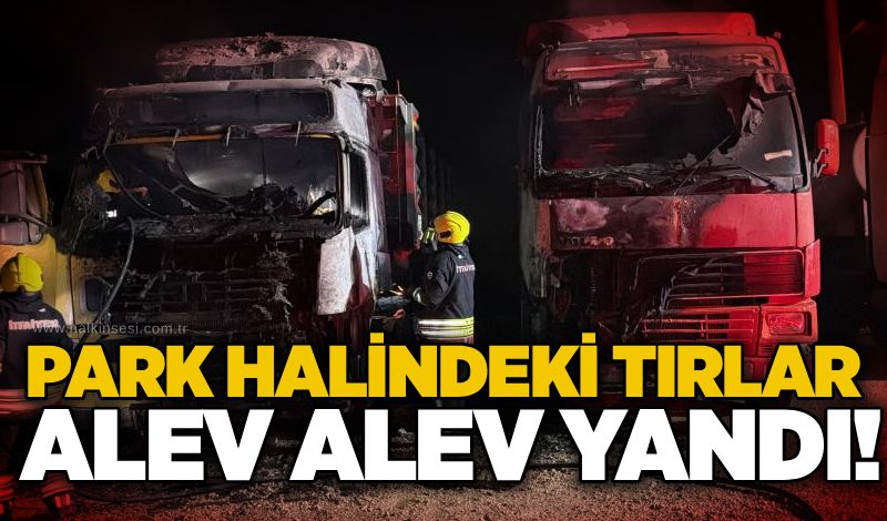 Park halindeki tırlar alev alev yandı!