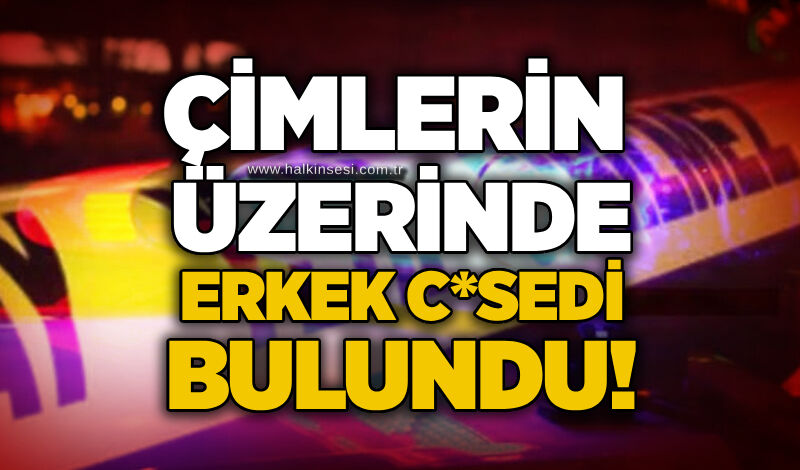 Çimlerin üzerinde erkek c*sedi bulundu!