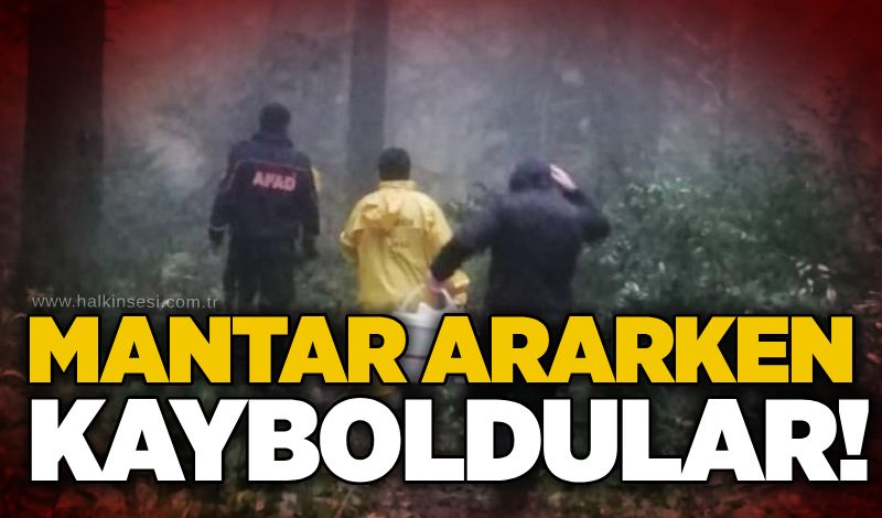 Mantar ararken kayboldular!