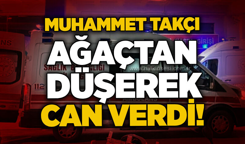 Muhammet Takçı ağaçtan düşerek can verdi!