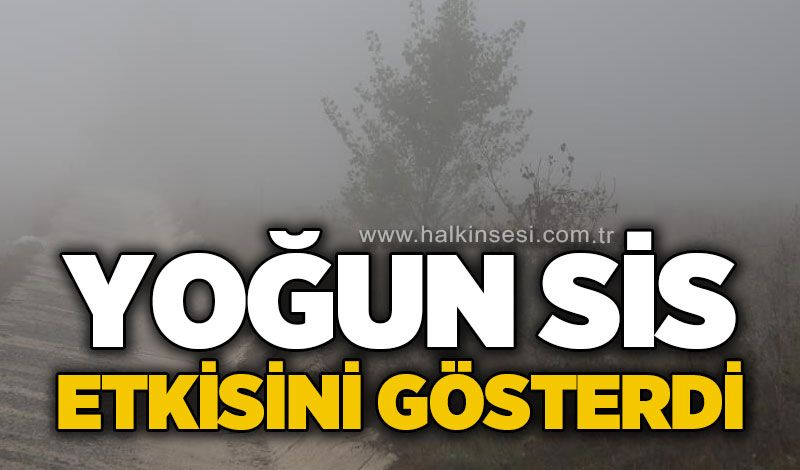 Ankara yolunda yoğun sis etkili oldu: Görüş mesafesi 50 metreye düştü!